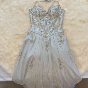 Vintage Silver Gown with Lace-Up Back
